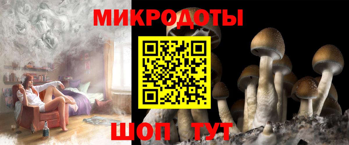 Батайск  Псилоцибиновые грибы Cubensis  Вход с VPN 